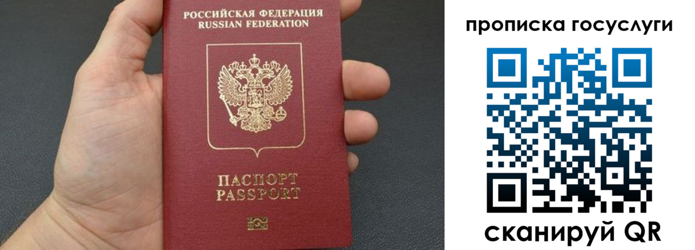 купить прописку в Алтайском крае